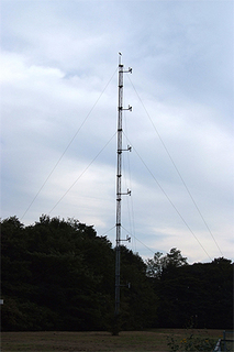 mitaka-12.jpg
